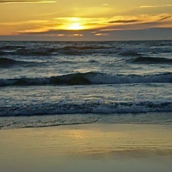 leftcoast_ny